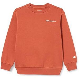 Champion Uniseks sweatshirt voor kinderen en jongens, gebrande aarde, 13-14 jaar