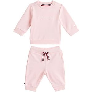 Tommy Hilfiger Unisex MONOTYPE 2-delige set KN0KN02162 Set, roze (hertogin roze), 6 maanden, Roze (Hertogin Roze), 6 maanden