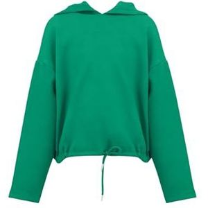 LTB Jeans Hoodie voor meisjes Henozo maat 128 cm in groen, groen (afstandsbediening green) 8831, 128 cm