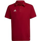 adidas Unisex Kids Polo Shirt Ent22 Polo Y, Tepore, H57495, 176 EU