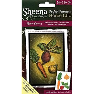 Sheena Douglass Perfect Partners Metalen Die-Home Grown, Zilver, 20,5 x 13,5 x 0,2 cm