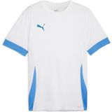PUMA teamGOAL Speeldag Jersey jr