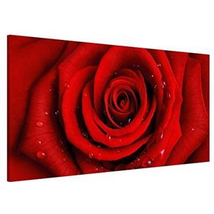 Apalis rozenbeeld magneetbord - rode roos met waterdruppels - bloemenbeeld memoboard dwars 37cm x 78cm grootte HxB: 37cm x 78cm