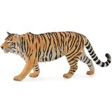 Tygrys syberyjski XL