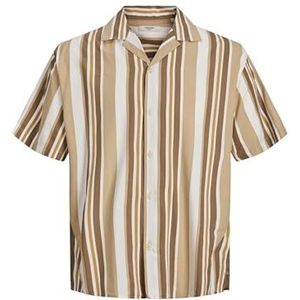 JACK & JONES Vrijetijdshemd voor heren, regular fit, vrijetijdshemd, Iced Coffee/Stripes: relaxfit, M