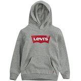 Levi's Kids Batwing screenprint hoodie jongens 2-8 jaar, grey heather, 3 jaar