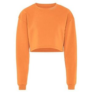 Flyweight Sweatshirt met lange mouwen van 100% polyester met ronde hals abrikoos maat XXL, abrikoos, XXL