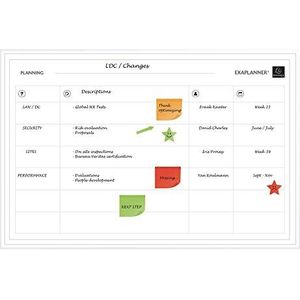 Exacompta - ref. 57170E - 1 magnetisch Teamorganisatieplanner - droog uitwisbaar - inclusief herschrijfbare magneten - Afmetingen: 90 x 59 cm - kleur wit