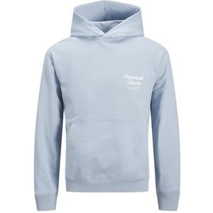 Jack & Jones - Jornorrebro Typo Back - Sweatshirt met Capuchon - Skyway - Voor Kinderen