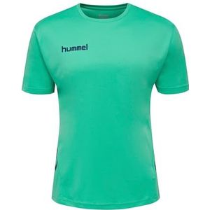 hummel Heren Ensemble Duo Set Track Suit, Vert Flash/Blue Marine, XL EU, 205872