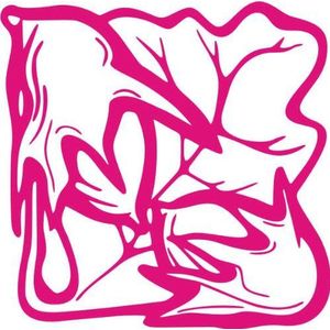 INDIGOS/Muursticker-e60 mooi bladeren blad bloemen planten rankjes 80x80 cm roze, vinyl, 80 x 80 x 1 cm