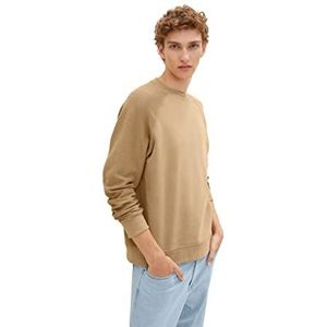 TOM TAILOR Denim Uomini Sweater met structuur 1034100, 12912 - Splashed Clay Beige, XXL