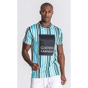 Gianni Kavanagh Green Stripes ID T-shirt voor heren