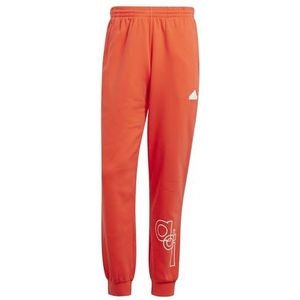 adidas Fleece broek met grafische print voor heren