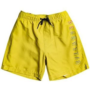 Quiksilver Boy's All Day Heritage Lb Board Shorts (Pack van 1)