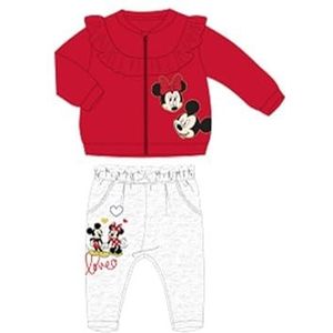 Disney 2-delige set van sweatshirt + broek voor baby's (3 tot 23 maanden), Minnie zacht en warm: sweatshirt + jogger, gemengd patroon, voor meisjes en jongens, model DIS MF 5112C434-S1-18M