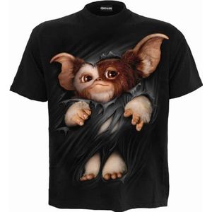 WB Studio - Gremlins - Gizmo - T-shirt - afdruk op voorkant - zwart - L
