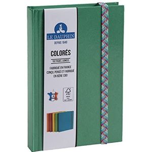 Le Delfin 167213D Notitieboek, Iderama, van binnen gelinieerd, kleurrijk elastiek, afmetingen 17 x 11 cm, verticaal, 192 pagina's, envelop, groen, FSC®-gecertificeerd