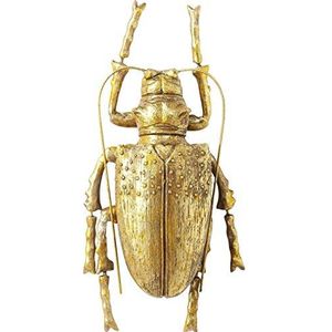 Kare Design Longicorn Beetle Gold wandsieraden, 7 x 15 x 27