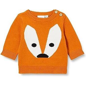 Bestseller A/S Baby Jongens Nbmlakalle Ls Knit Pullover, Autumn Maple, 50 cm