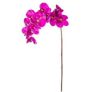 EUROCINSA Ref.43114C63 Orchidee PHALAENOPSIS, doos met 6 stuks, lavendel, 112 cm