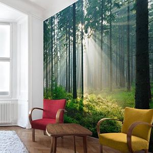 Apalis Vliesbehang Enlightened Forest Fotobehang Vierkant | Fleece Behang Muurschildering Foto 3D Fotobehang voor Slaapkamer Woonkamer Keuken | Grootte: 336x336 cm, groen, 98449