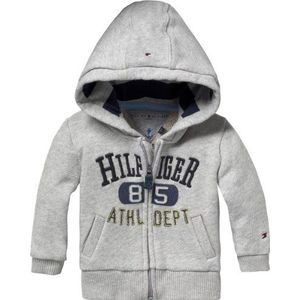 Tommy Hilfiger Baby - jongens sweatshirt ARON baby hoodie L/S / EZ57107255, grijs (020 Dark Grey Heather)., 56 cm