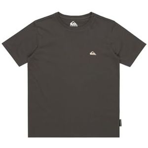 Quiksilver Basic Ss Tee Youth T-shirt voor jongens (pak van 1)