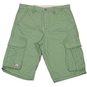 Blend Heren Shorts 700992, groen (Green Eyes), XL