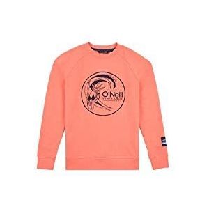 O'NEILL Sweatshirt met lange mouwen. 0A1480 Jongens