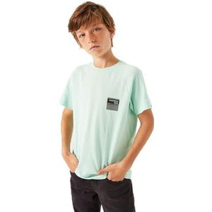 O43404_Boys T-shirt ss, fresh mint, 176 cm
