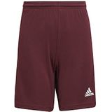 adidas Squad 21 SHO Y Kindershorts