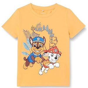 Bestseller A/S Baby-jongens NMMMILTER PAWPATROL SS TOP CPLG T-shirt, Mock Orange, 86, Mock Oranje, 86 cm