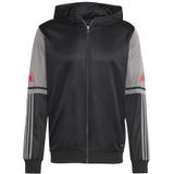 adidas Heren SQUADRA25 HOODY, black/team grey four/pure ruby, XS