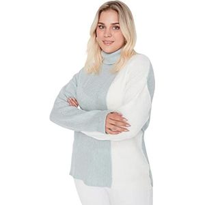 Trendyol Vrouwen coltrui Colorblock Regular Plus Size Sweater Sweater, Mint, 3XL, Munt, 3XL grote maten
