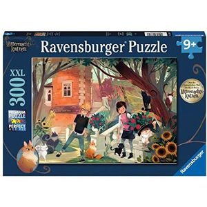 Kinderpuzzel 300 stukjes - De kattenfluisteraars Nova en Henry (Ravensburger)