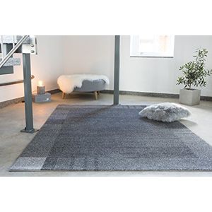 Andiamo Geweven tapijt Le Havre rand modern laagpolig polypropyleen tapijt, grijs, 80x150 cm