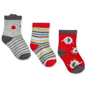Tuc Tuc Set van 3 sokken voor jongens, grijze collectie P'tit Zoo, Grijs, 9 meses