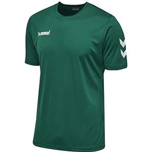 Hummel Heren CORE POLYESTER TEE T-Shirt, grijs (Evergreen), XXXL