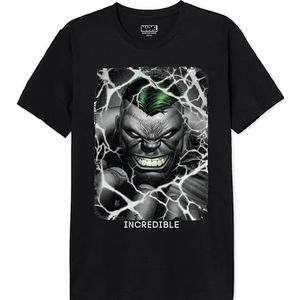 Marvel MEHULKCTS063 T-shirt, zwart, XXL, heren, zwart., XXL