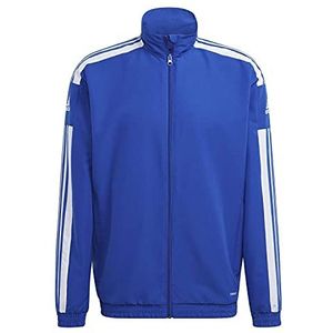 Adidas Squadra 21 Herenjas, koningsblauw/wit, maat XXL