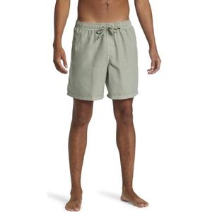 Quiksilver Heren Everyday Surfwash Volley 17nb Shorts (Pack van 1)