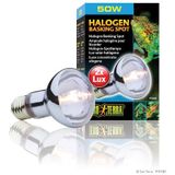 Exo Terra Halogeen Basking Spot - Breed spectrum daglichtlamp, 50 W