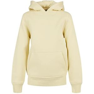 Build Your Brand Basic Hoodie