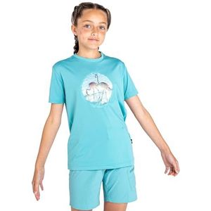 Dare 2b Boy's Rightful Tee T-shirt, Weadowbrook Groen, 14 Jaar