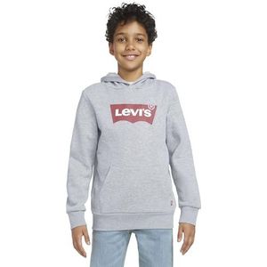 Levi's Kids Hoodie Batwing met Logo Grijs Melange