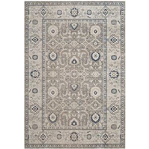 Safavieh Woonkamer tapijt, PTN322, geweven polypropyleen, taupe/ivoor, 160 x 230 cm