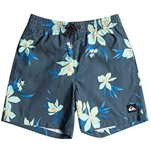 Quiksilver Everyday Mix Volley Youth 14 Shorts voor kinderen en jongens (1 stuk)