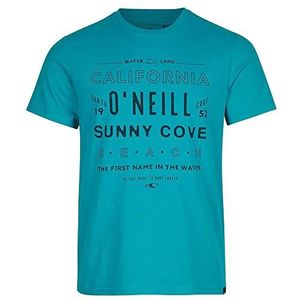 O'NEILL Tees Muir T-shirt met korte mouwen, 15014 Tile Blue, Regular (set van 2) voor heren