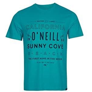 O'NEILL Tees Muir T-shirt met korte mouwen, 15014 Tile Blue, Regular (set van 2) voor heren